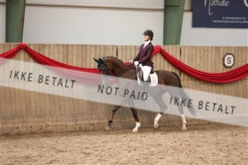 171342_mtp_01_3M5A7807.JPG