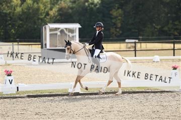 181894_mtp_02_R62_2037.JPG