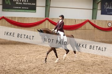 171342_mtp_01_3M5A7819.JPG