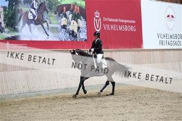 181887_mtp_04_R62_8588.JPG