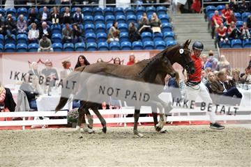 181957_mtp_08_R62_5592.JPG