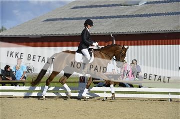 136195_abo_01__AB16638.JPG
