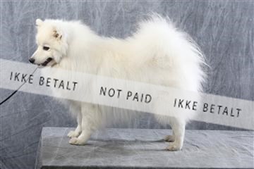 129608_le_ 01_0818.JPG