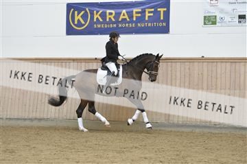 160111_nn_01__ESK1599.JPG