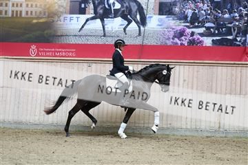 181887_mtp_04_R62_8919.JPG