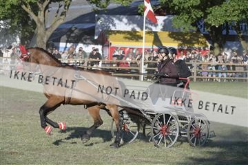 174726_jbr_02_JB32965.JPG