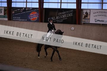 173782_mtp_01_3M5A8192.JPG