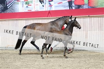 175167_jss_01_R6II0337.JPG