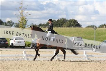 148862_sg_02_IMG_3845.JPG