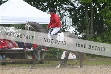 135518_ms_01_IMG_1101.JPG