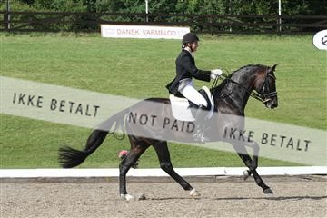 135676_sg_03_IMG_9852.JPG