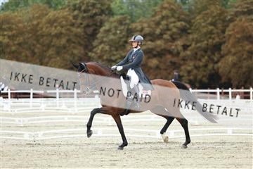 181923_mtp_04_R62_8676.JPG