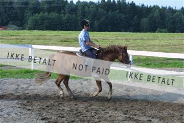 110-1025_IMG.JPG