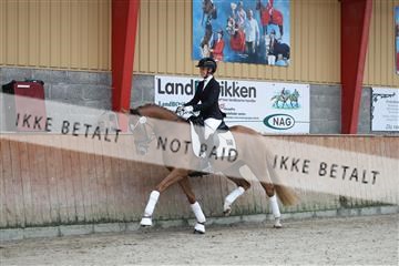 181867_mtp_02_R62_4347.JPG