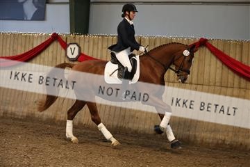 170266_mtp_01_3M5A0399.JPG