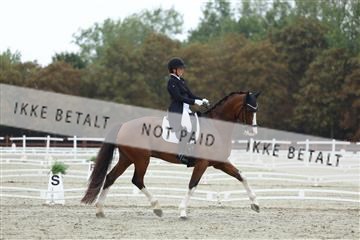 181923_mtp_03_R62_7893.JPG