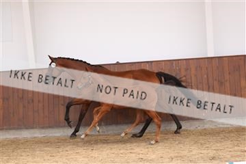 181755_bc_01R62_1295.JPG