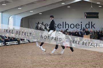 179022_kbb_01_R6II2506.JPG