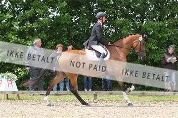135518_ms_01_IMG_1486.JPG