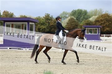 181923_mtp_03_R62_7234.JPG
