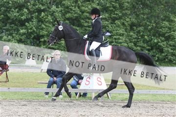 135518_ms_01_IMG_1910.JPG
