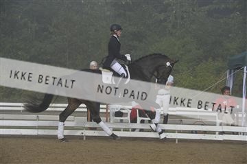 136195_abo_01__AB15375.JPG