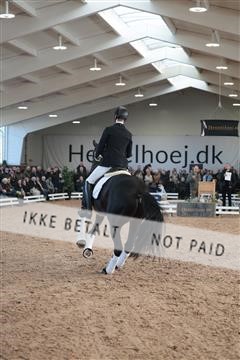 179022_kbb_01_R6II2638.JPG