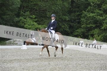 172079_kbb_01__KBB0238.JPG