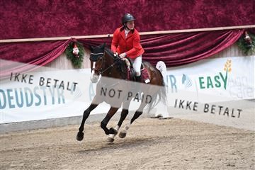 170217_abo_01_D05_5861.JPG