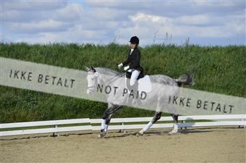 136195_abo_01__AB16787.JPG