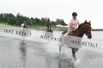 110-1019_IMG.JPG
