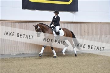 160111_nn_01__ESK1788.JPG