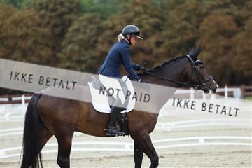 181923_mtp_02_R62_7129.JPG