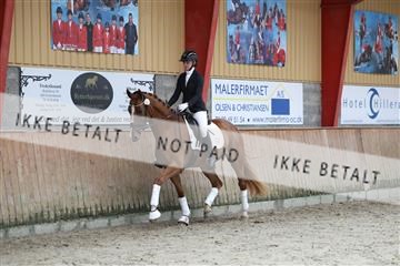 181867_mtp_02_R62_4676.JPG