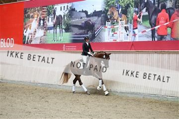 181887_mtp_04_R62_8656.JPG