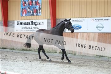 181868_mtp_01_R62_5043.JPG