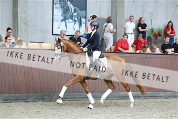181852_mtp_04_R62_2775.JPG
