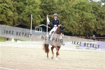 181923_mtp_04_R62_8538.JPG