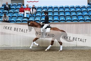 181887_mtp_02_R62_7826.JPG