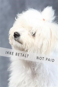 129608_le_ 01_0491.JPG