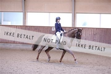 173821_mtp_01_3M5A9134.JPG
