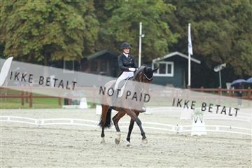 181923_mtp_03_R62_7710.JPG