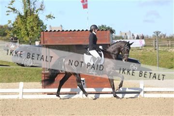 148862_sg_01_IMG_2812.JPG
