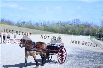 174513_jss_01_R6II7974.JPG