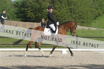 135086_sg_01_IMG_1784.JPG