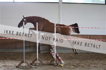 181804_mlm_01_R62_7729.JPG