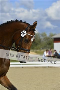 136195_abo_01__AB16546.JPG
