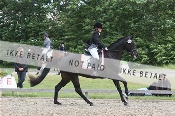 135518_ms_01_IMG_1892.JPG