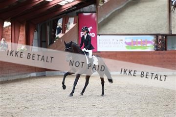 175442_kbb_01_R6II0066.JPG