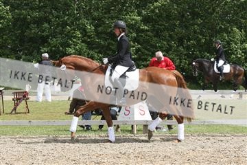 135518_ms_01_IMG_1738.JPG